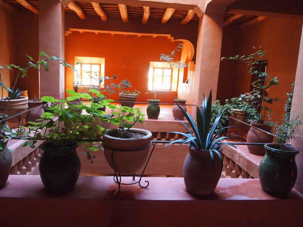 Casbah D'Hote La Jeanne Tourisme Ecologique Boumalne 외부 사진